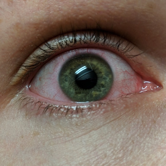 Meet your Posher, Layne - Picture 1 of 1